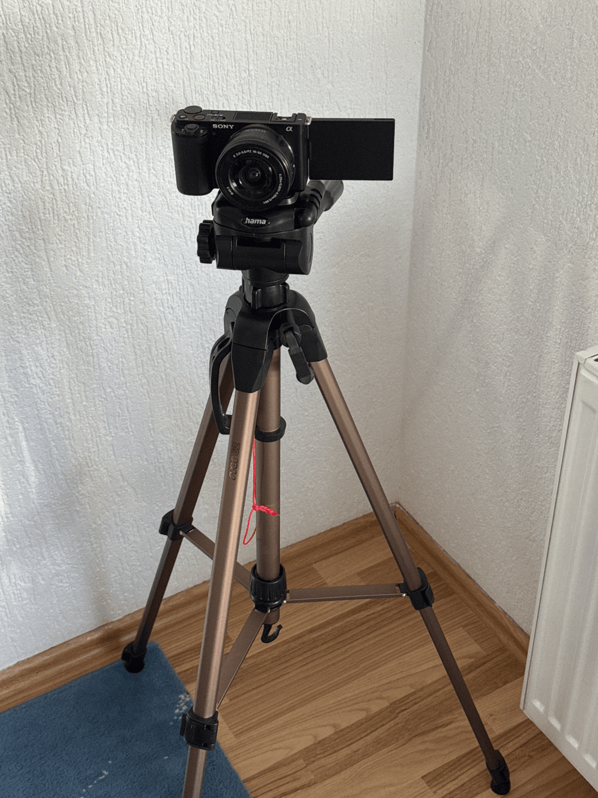 Sony zv e10